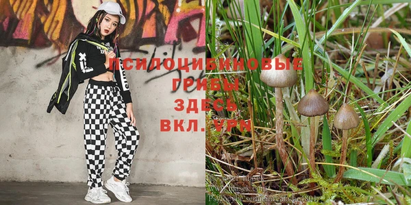 ешки Дрезна