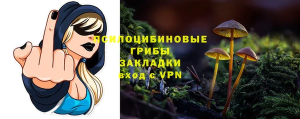 прущая мука Надым