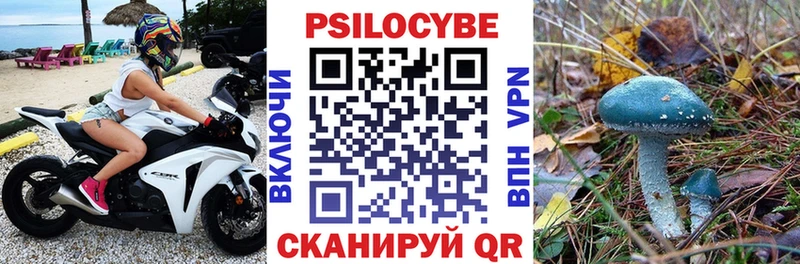 MEGA   Кашира  Псилоцибиновые грибы прущие грибы  хочу наркоту 