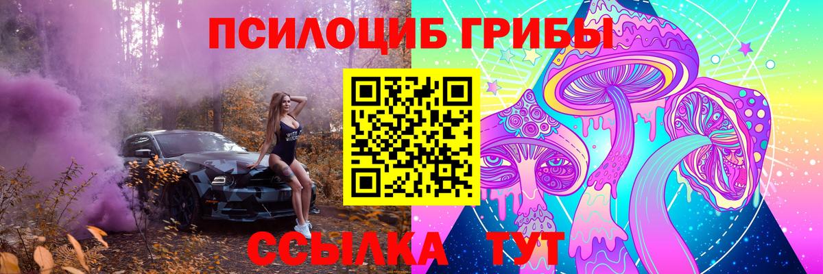 Галлюциногенные грибы прущие грибы Кашира