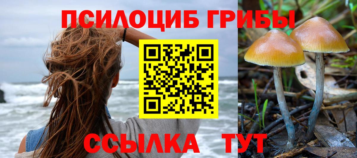 Галлюциногенные грибы Cubensis Кашира