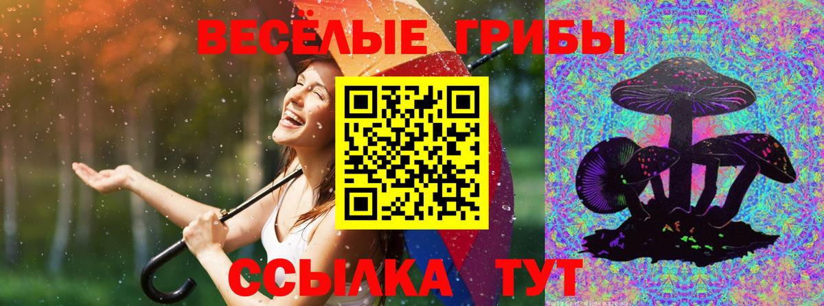 Кашира  сколько стоит  Вход с VPN  Псилоцибиновые грибы прущие грибы 