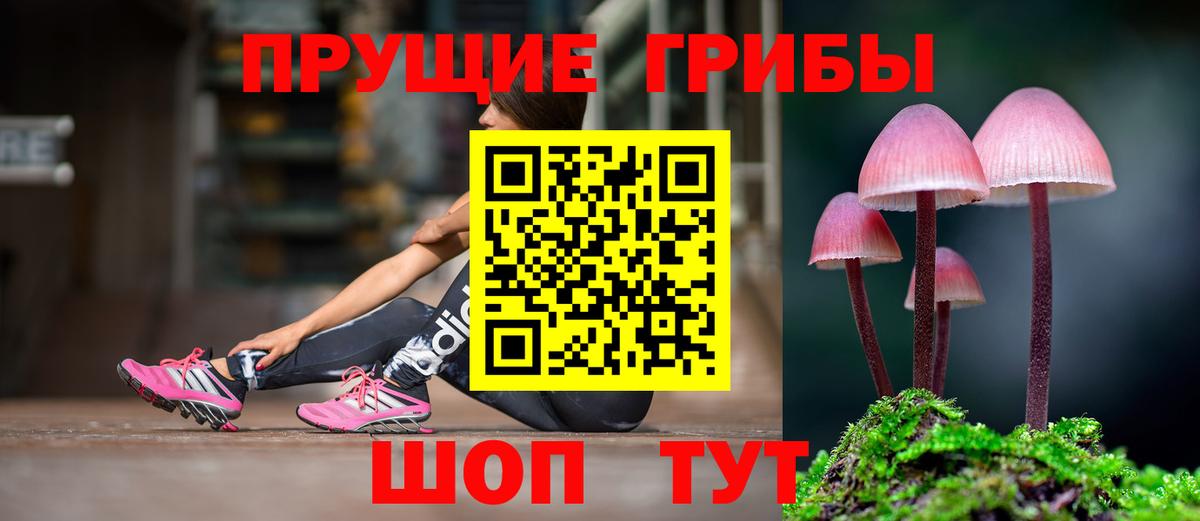 наркотики  Псилоцибиновые грибы Psilocybe  Кашира  Псилоцибиновые грибы Psilocybine cubensis 